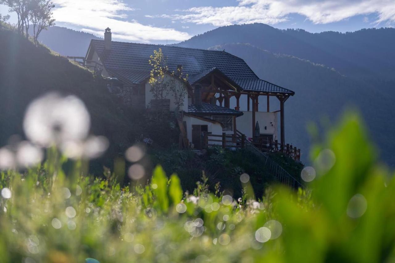 Zeneli Alpin Chalet Cerem 외부 사진